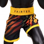 Шорты для тайского бокса Fairtex (BT-2002 Tiger)