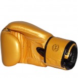 Перчатки боксерские Fairtex (BGV-26 Harmony Six)