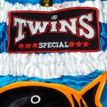 Детские шорты муай тай Twins Special (TBS-017 shark)