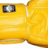 Боксерские перчатки Twins Special с рисунком (FBGV-25 yellow)