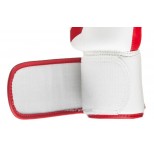 Перчатки для бокса Twins Special с рисунком (FBGV-43 white-red)